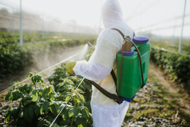 Best Wasp Removal Services  in Greenville, PA